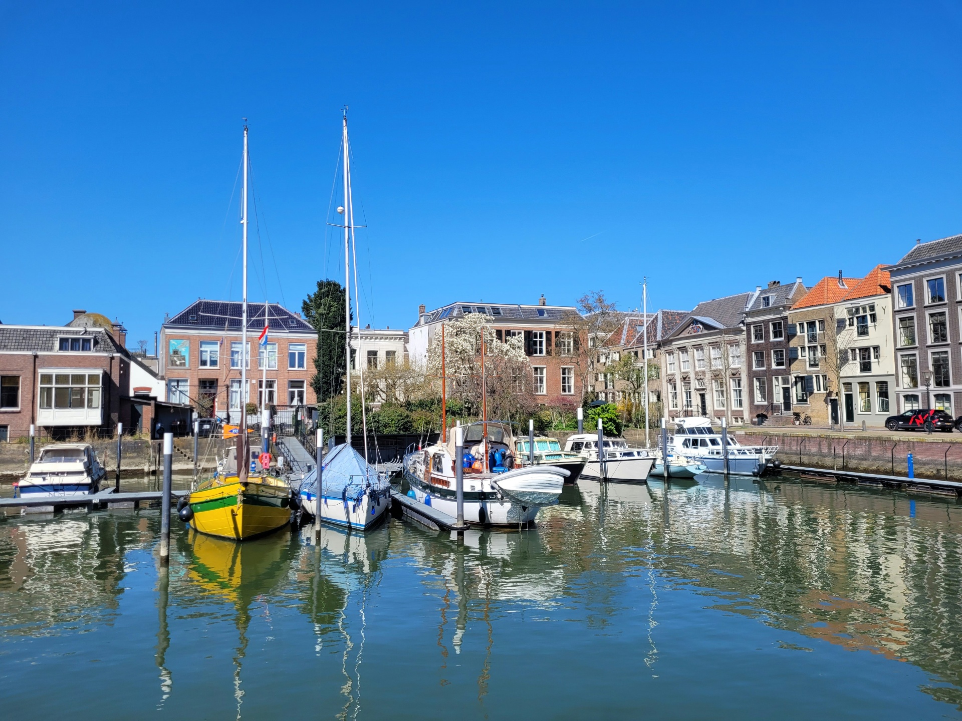 Historische haven van Dordrecht bij gouden uur